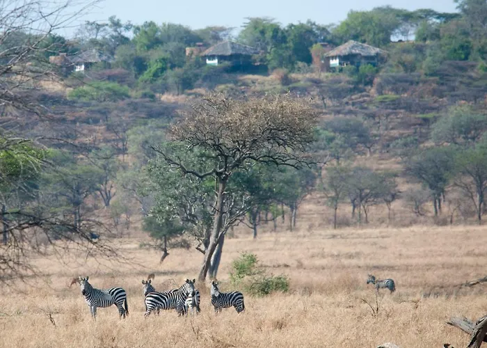 Mbalageti Serengeti