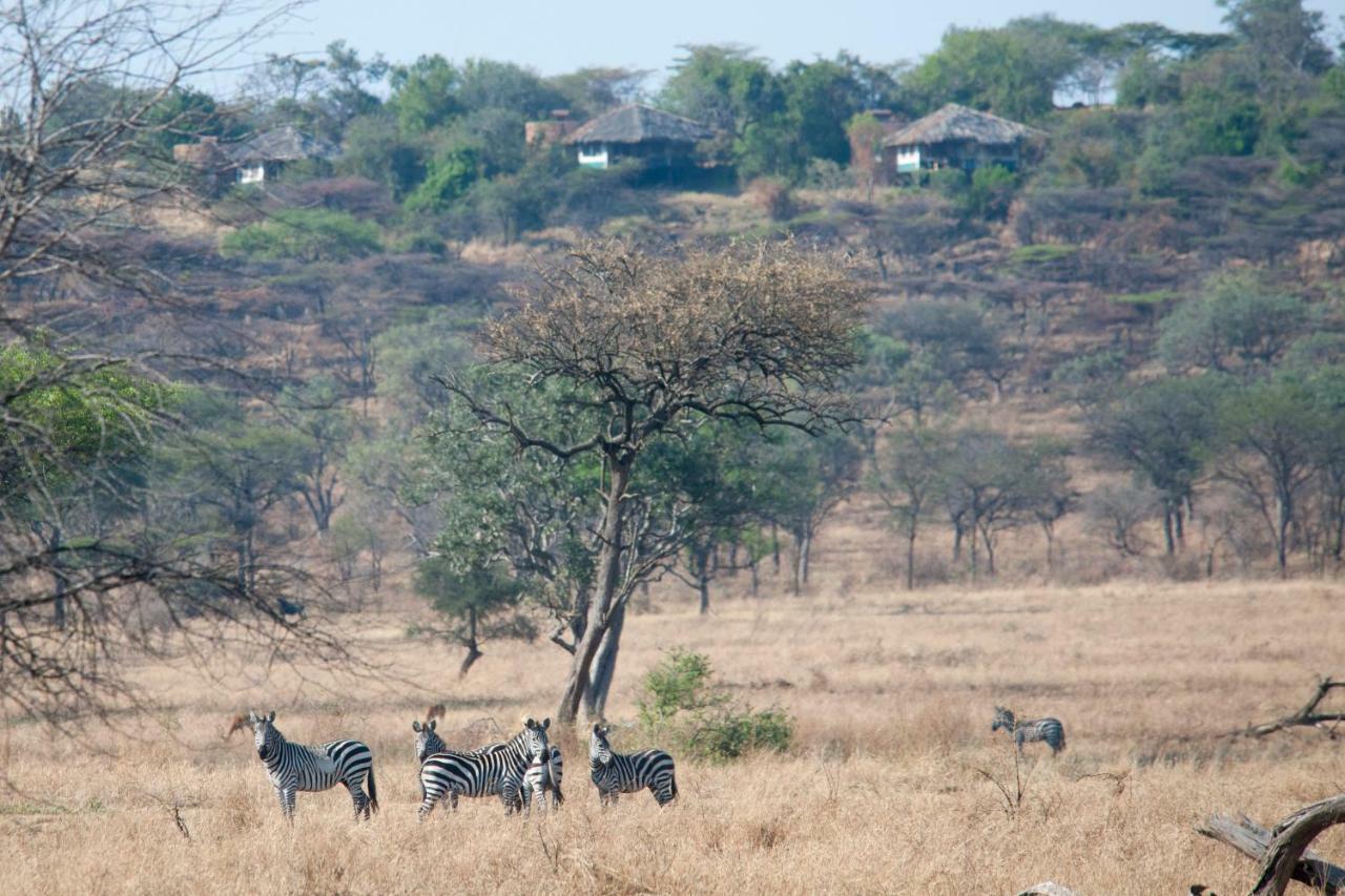 Mbalageti Lodge *