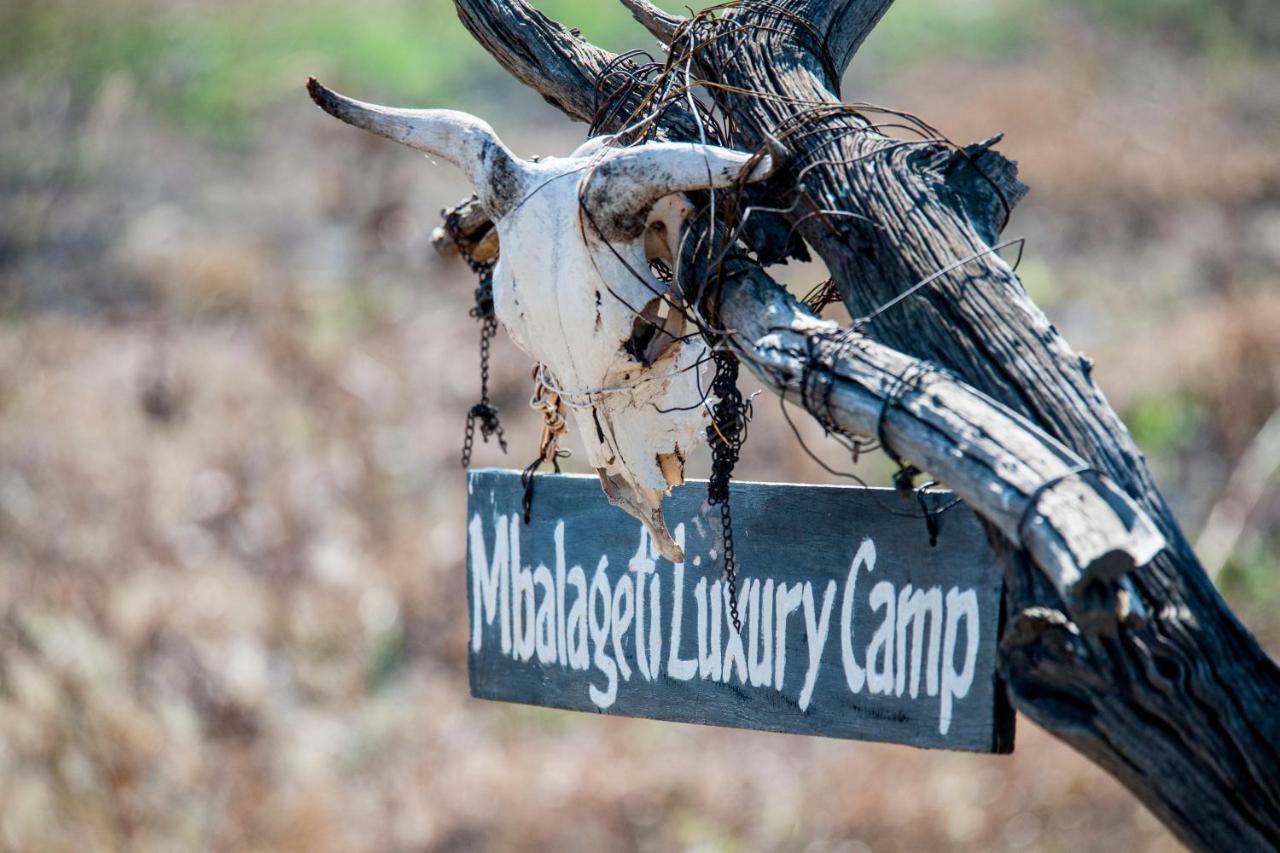 Mbalageti Lodge *